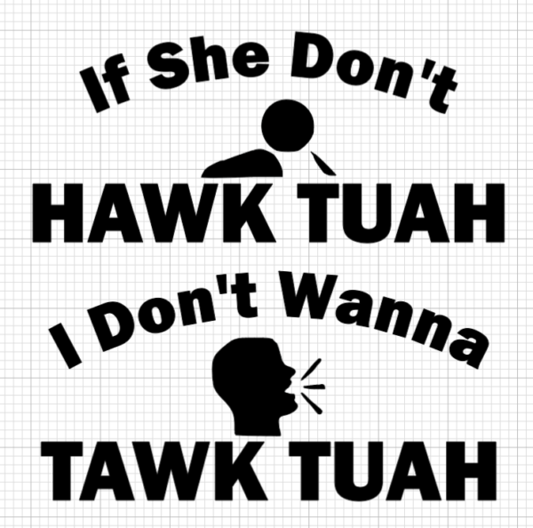 Hawk Tuah Decal